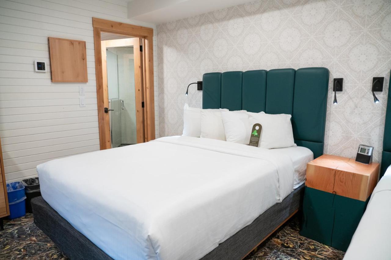 The Dorothy Motel Банф Екстериор снимка